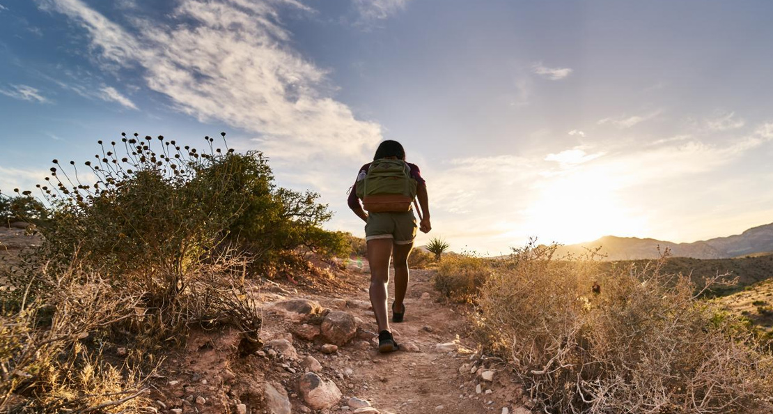 Dynamic Content Image